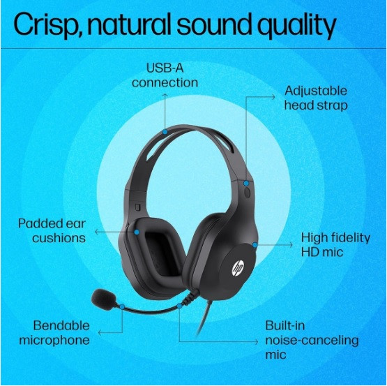 HP H125 Stereo USB Headset