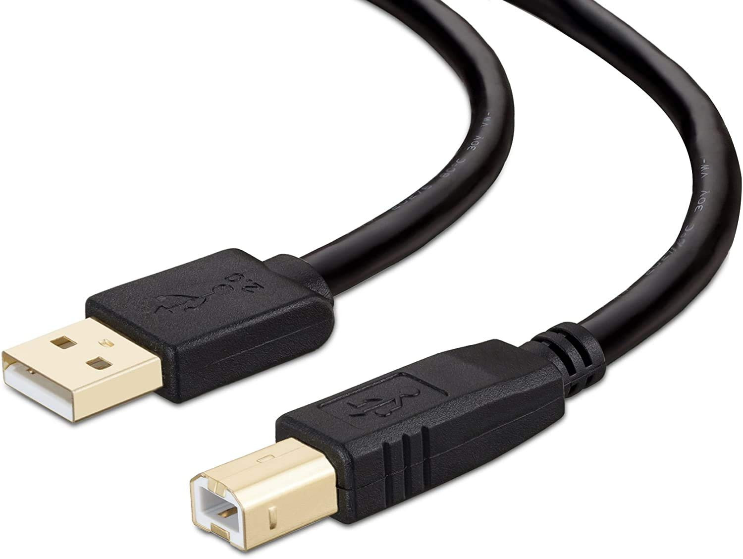USB PRINTER CABLE 1.5YD RAYMAX